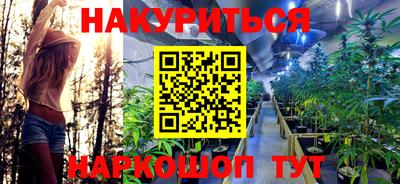 шишки Будённовск