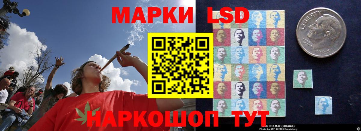 Лсд 25 экстази  Вход с VPN  гидра рабочий сайт  Курганинск  Лсд 25 экстази ecstasy  Лсд 25 экстази ecstasy 