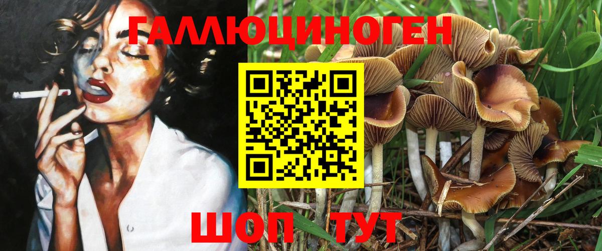 Псилоцибиновые грибы мухоморы Курганинск