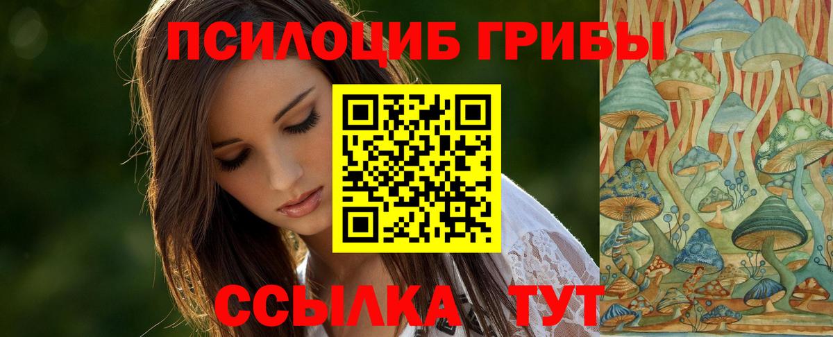 сколько стоит  Галлюциногенные грибы GOLDEN TEACHER  Вход с VPN  Курганинск 